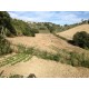 Properties for Sale_La Villa di Franca in Le Marche_14